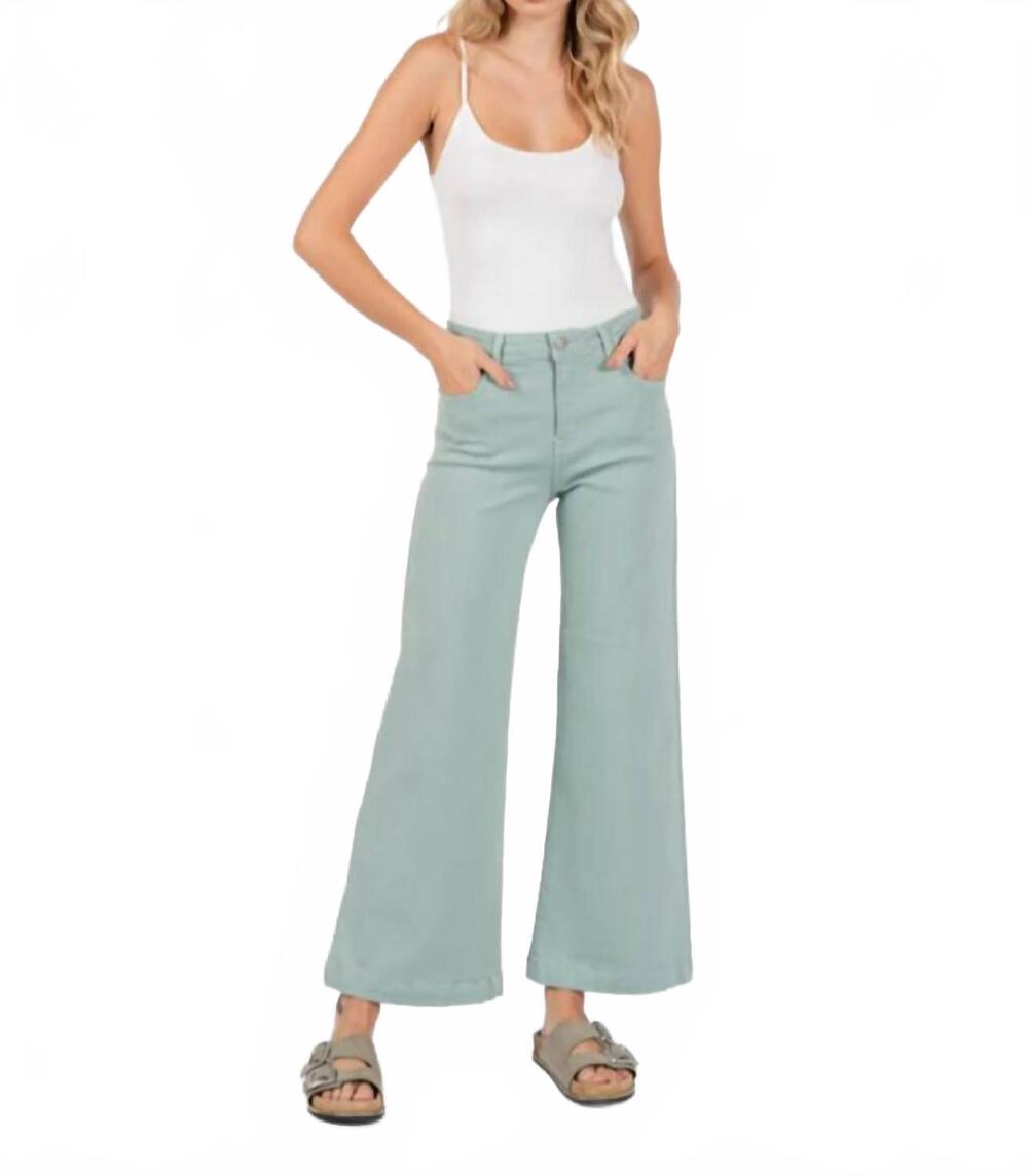 NEW LETTER TO JULIET sofia wide leg culottes pants in opal